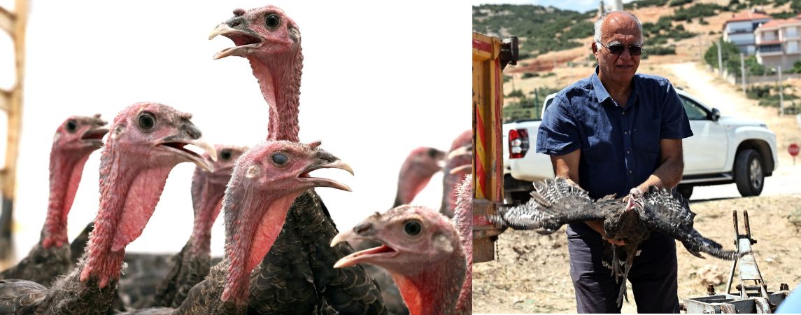 KORKUTELİ’NDE HİNDİ DAĞITILDI
